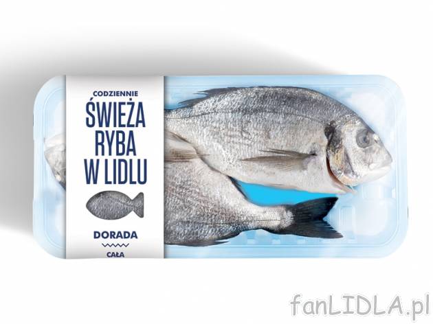 Świeża dorada patroszona - od czwartku 6 sieprnia , cena 2,99 PLN za 100 g