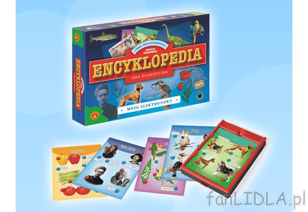 Gry edukacyjne , cena 24,99 PLN za 1 opak. 
-  2 rodzaje do wyboru: