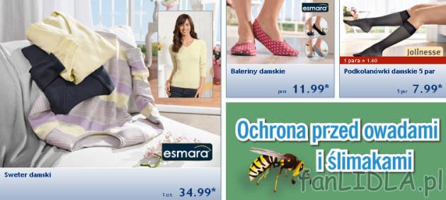 Moda damska w Lidlu