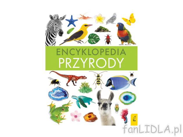 Encyklopedia przyrody , cena 32,99 PLN