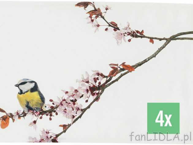 Podkładki na stół, 4 szt. , cena 24,99 PLN  
-  ok. 33 x 48 cm