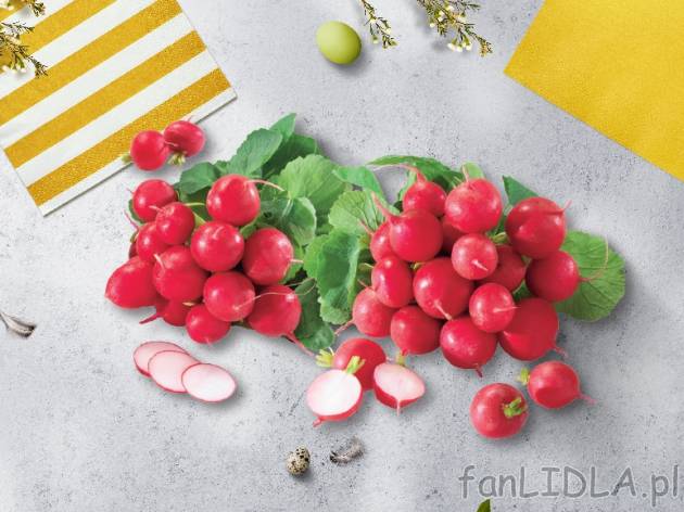 Rzodkiewki , cena 1,00 PLN za 1 pęczek