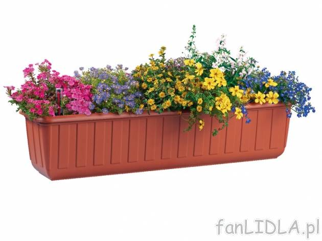 Skrzynka na kwiaty 80 cm Florabest, cena 23,99 PLN za 1 szt. 
- zasobnik wody: 4 ...