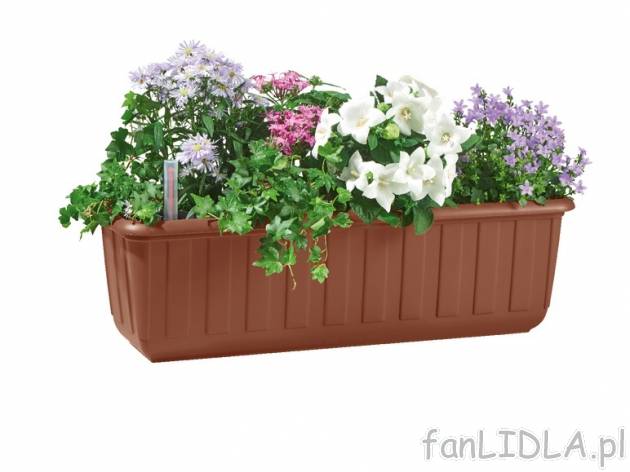 Skrzynka na kwiaty 60 cm , cena 21,99 PLN za 1 szt. 
- zasobnik wody: 3 l 
- 2 kolory ...