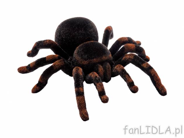 Zdalnie sterowany szczur lub tarantula , cena 69,90 PLN za 1 opak. Pomysł na prezent ...