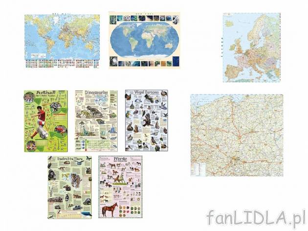 Plakat 70 x 100 cm lub mapa ścienna 99 x 112 cm Cien, cena 14,99 PLN za 1 szt. ...