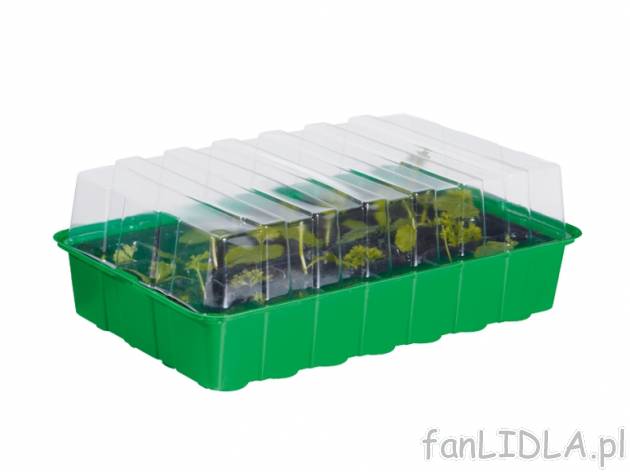 Zestaw 4 skrzynek na sadzonki Florabest, cena 27,99 PLN za 1 opak. 
- w skład zestawu ...