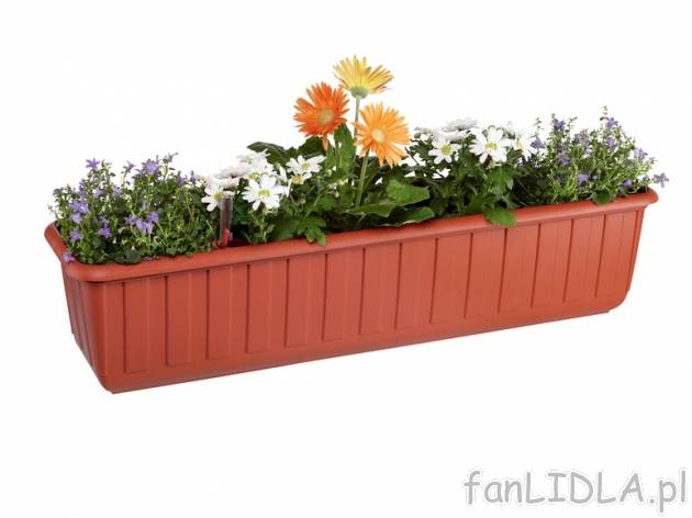 Skrzynka z systemem nawadniania dł. 80 cm Florabest, cena 24,99 PLN za 1 szt. 
- ...