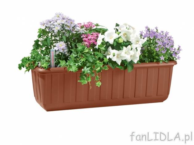 Skrzynka z systemem nawadniania dł. 60 cm Florabest, cena 21,99 PLN za 1 szt. 
- ...
