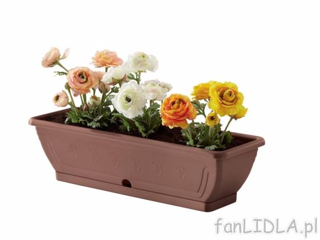 Doniczka Florabest, cena 15,99 PLN za 1 opak. 
-      3 wzory