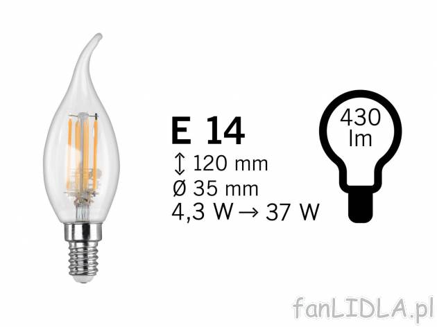 Żarówka filamentowa LED Livarno, cena 7,99 PLN 
- połączenie energooszczędnej ...