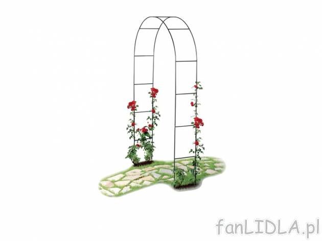 Łuk do roślin pnących Florabest, cena 39,99 PLN za 1 szt. 
- ze zintegrowanymi ...