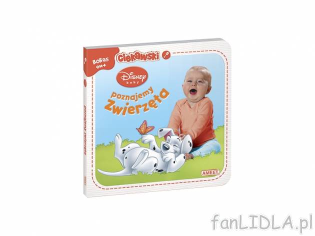 Książka twardostronicowa: DISNEY BABY. POZNAJEMY ZWIERZĘTA , cena 4,99 PLN za ...