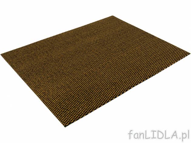 Wycieraczka 60 x 80 cm Meradiso, cena 22,99 PLN 
- wytrzymała i odporna na zużycie
- ...