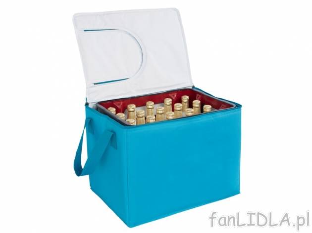 Torba termiczna , cena 34,99 PLN za 1 szt. 
- 3 wzory 
- pojemność 25 lub 33 ...