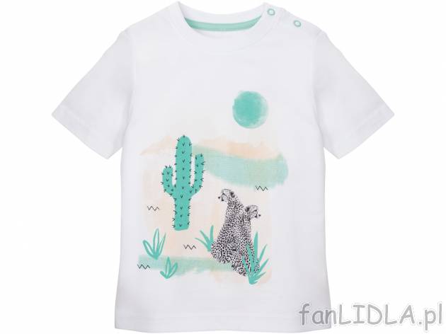 T-shirt chłopięcy Lupilu, cena 7,99 PLN 
- 100% bawełny
- rozmiary: 86-116
Dostępne ...