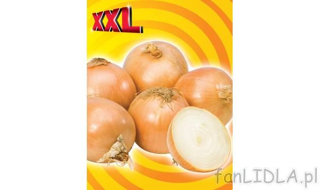 Cebula , cena 1,39 PLN za 2,5 kg/1 opak.