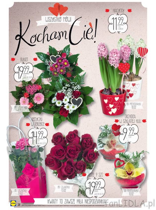 Duży wybór kwiatów: hiacynty, orchidea w szklanej kuli, różyczki w torebce, ...