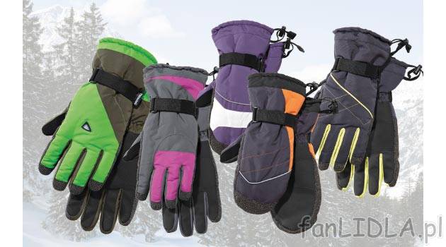 Rękawice snowboardowe damskie lub męskie Crivit Sports, cena 29,99 PLN za 1 para ...