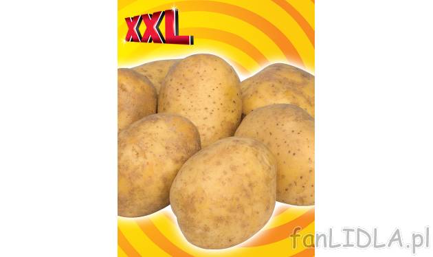 Zieminiaki , cena 1,99 PLN za 5 kg/1. opak.