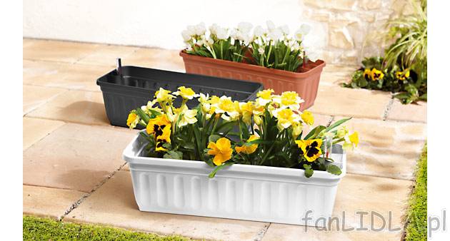 Skrzynka na kwiaty z systemem nawadniania Florabest, cena 19,99 PLN za 1 szt.