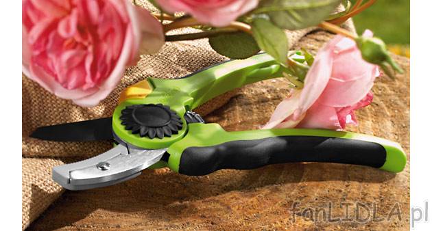 Sekator Florabest, cena 14,99 PLN za 1 szt. 
- ostrze z oszlifowanej stali karbonowej ...