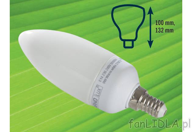 Żarówka energooszczędna Livarno Lux, cena 11,99 PLN za 1 szt. 
- moc 5 lub 9 ...