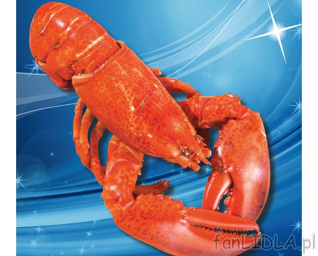 Homar , cena 29,99 PLN za 680 g/1 opak. 
- to najszlachetniejszy gatunek skorupiaka; ...