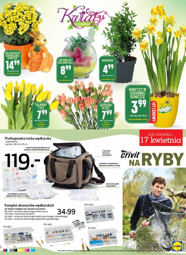 Kwiaty z wielkanocnymi ozdobami: kalanchoe w ceramicznej doniczce z królikiem wielkanocnym, ...