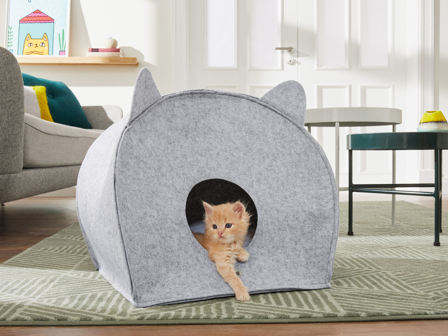 Budka dla kota Zoofari, cena 49,99 PLN
- ok. 51 x 46 x 41 cm
- możliwość złożenia
- ...