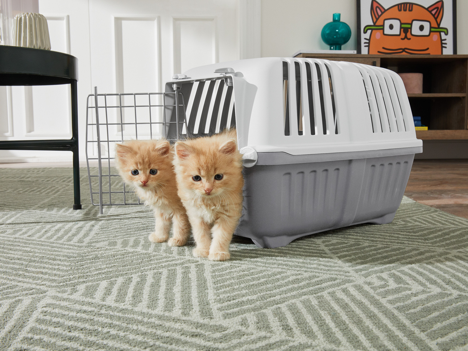 Transporter Zoofari, cena 39,99 PLN
- wymiary: ok. 48 x 31,5 x 31 cm
Opis