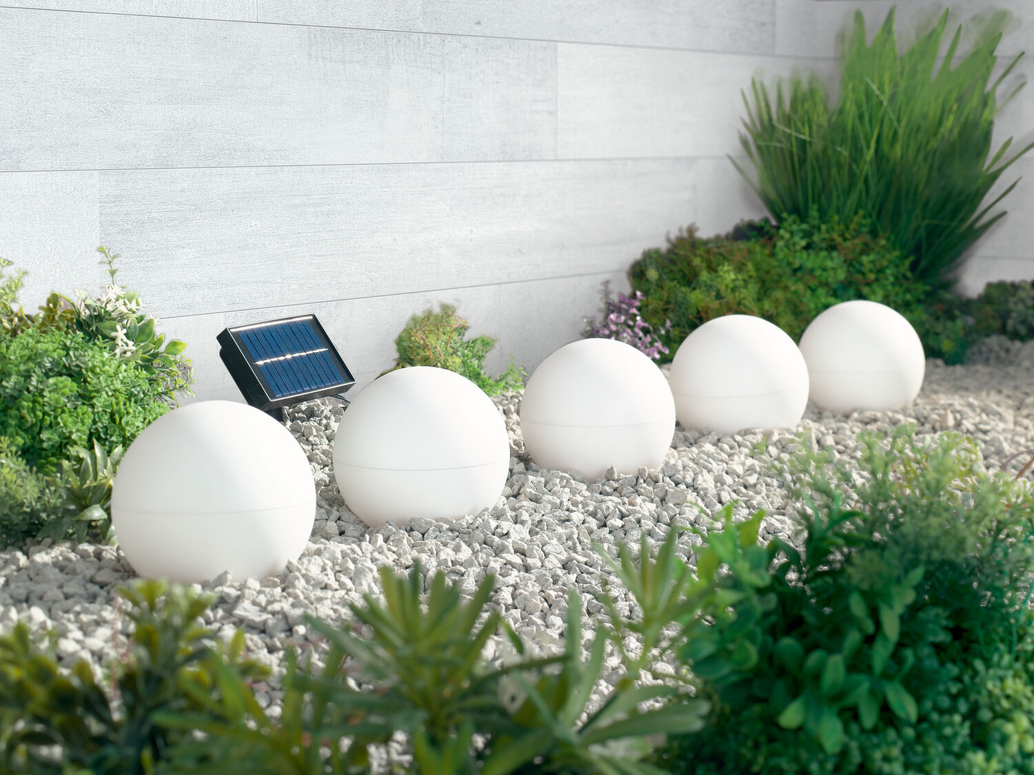 Solarne lampy ogrodowe LED Livarno, cena 49,99 PLN
- 5 diod LED z 3 trybami świecenia: ...