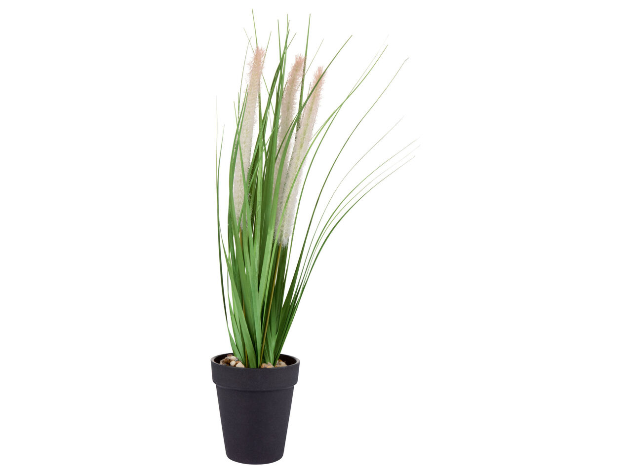 LIVARNO HOME® Sztuczna roślina doniczkowa , cena 4 PLN
LIVARNO HOME® Sztuczna ...