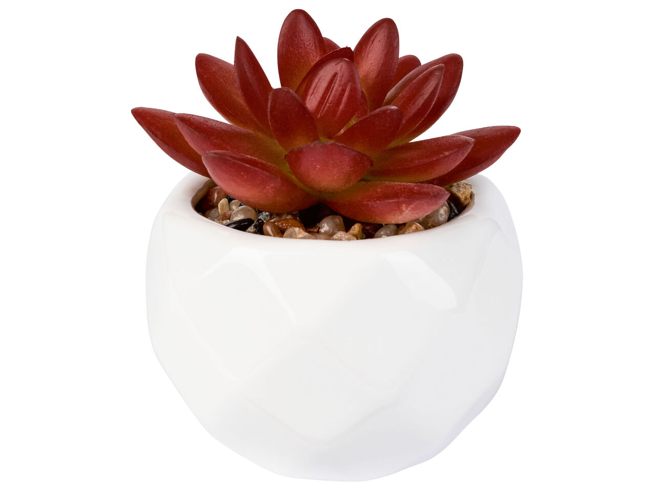 LIVARNO HOME® Sztuczna roślina doniczkowa mini , cena 6,99 PLN
LIVARNO HOME® ...