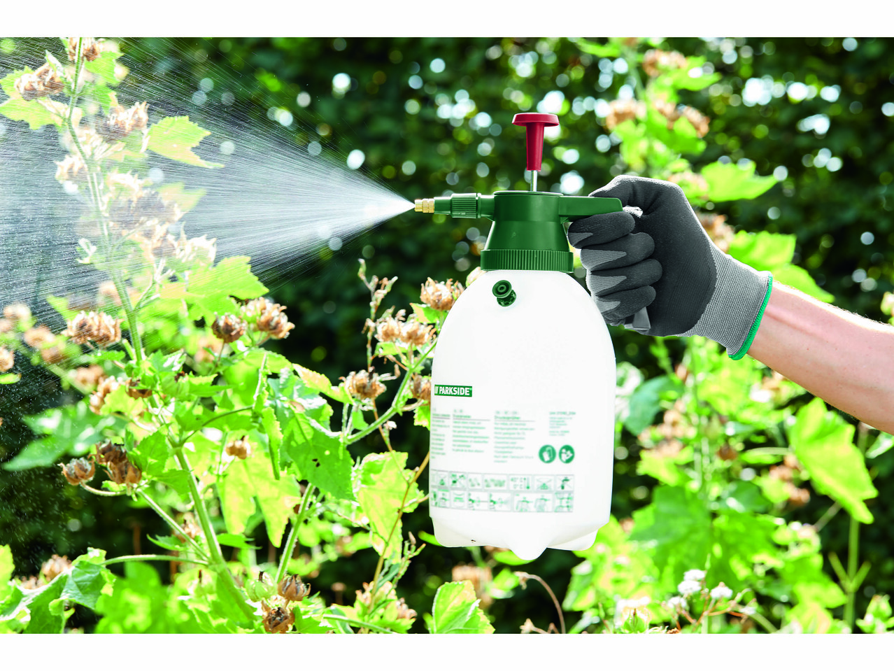 PARKSIDE® Spryskiwacz ciśnieniowy 2 l , cena 29,99 PLN
PARKSIDE® Spryskiwacz ...
