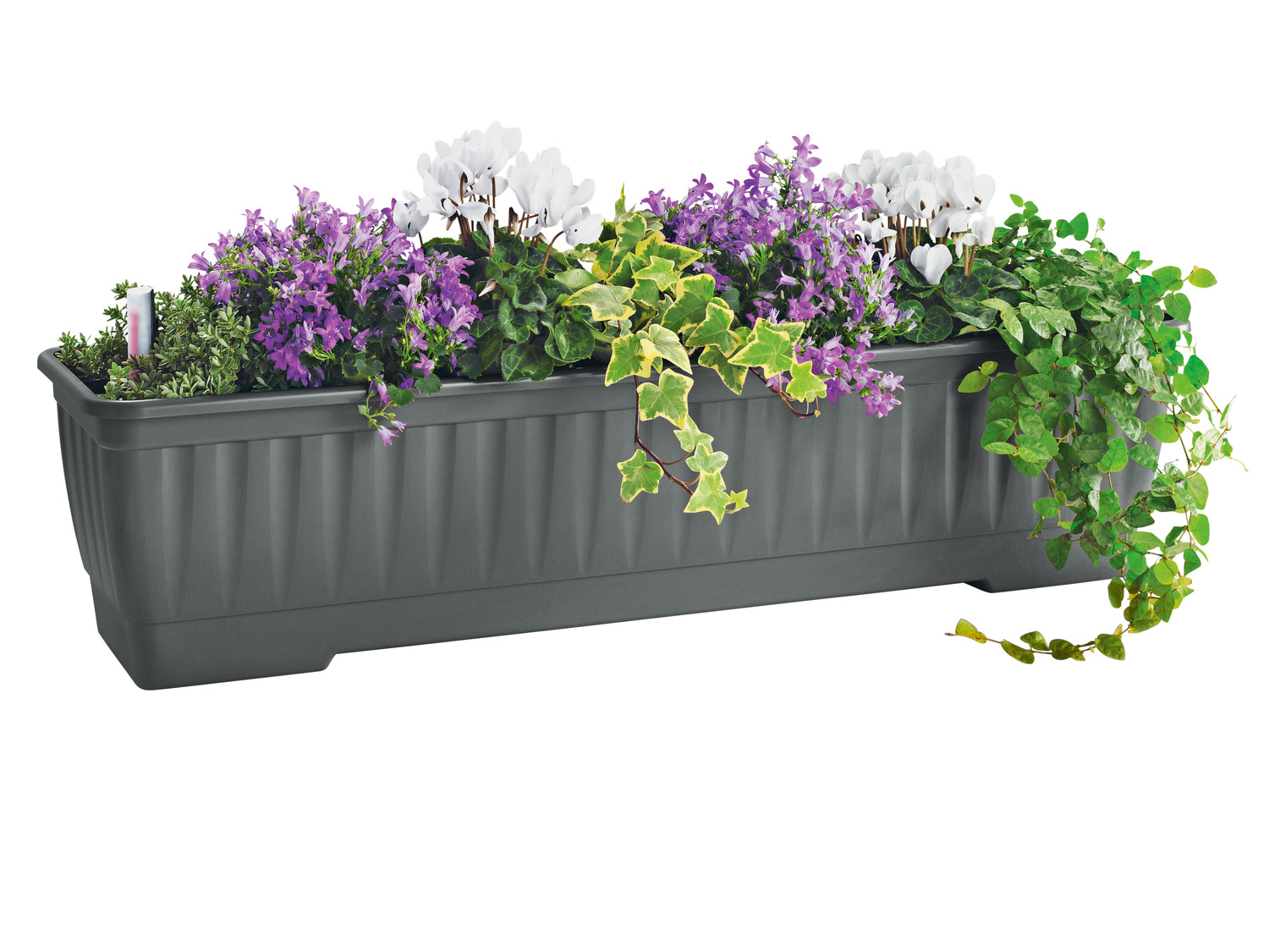 Skrzynka na kwiaty Parkside, cena 19,99 PLN
60 X 19,6 X 18,5 CM
- z regulowanym ...