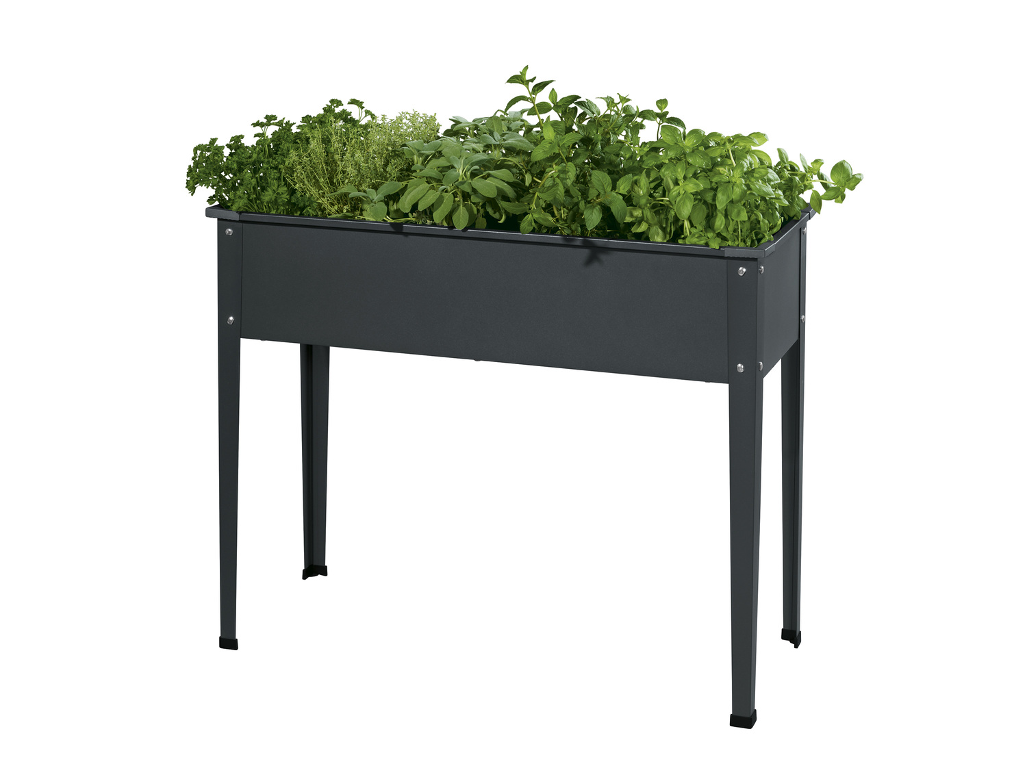 Metalowy stojak na uprawy* Parkside, cena 139,00 PLN
* Produkt dostępny w wybranych ...