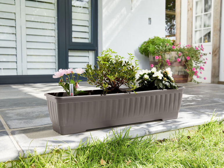 PARKSIDE® Skrzynka z systemem nawadniania, 80 Parkside , cena 27,99 PLN
Opis ...