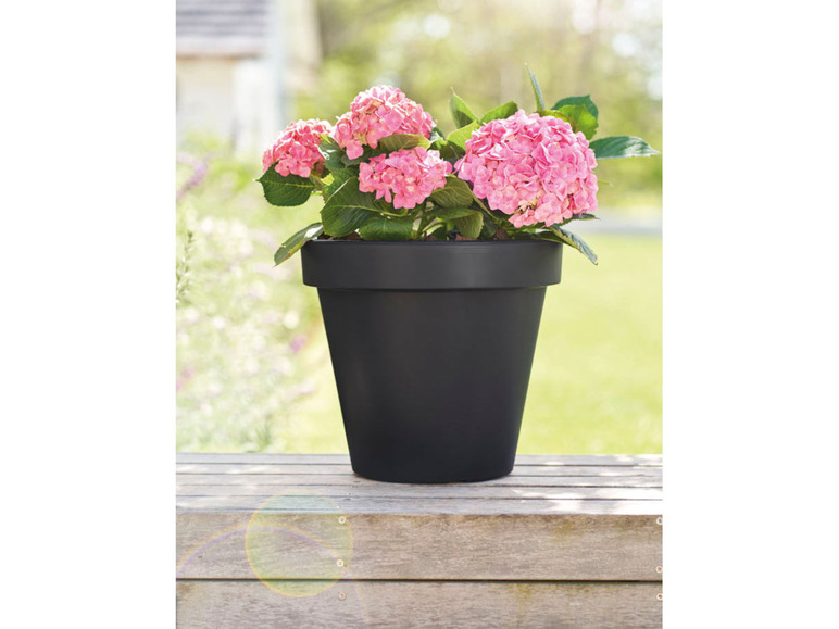 LIVARNO home Donica Ø 40 cm, 23 L | LIDL.PL Livarno home, cena 29,99 PLN
LIVARNO ...