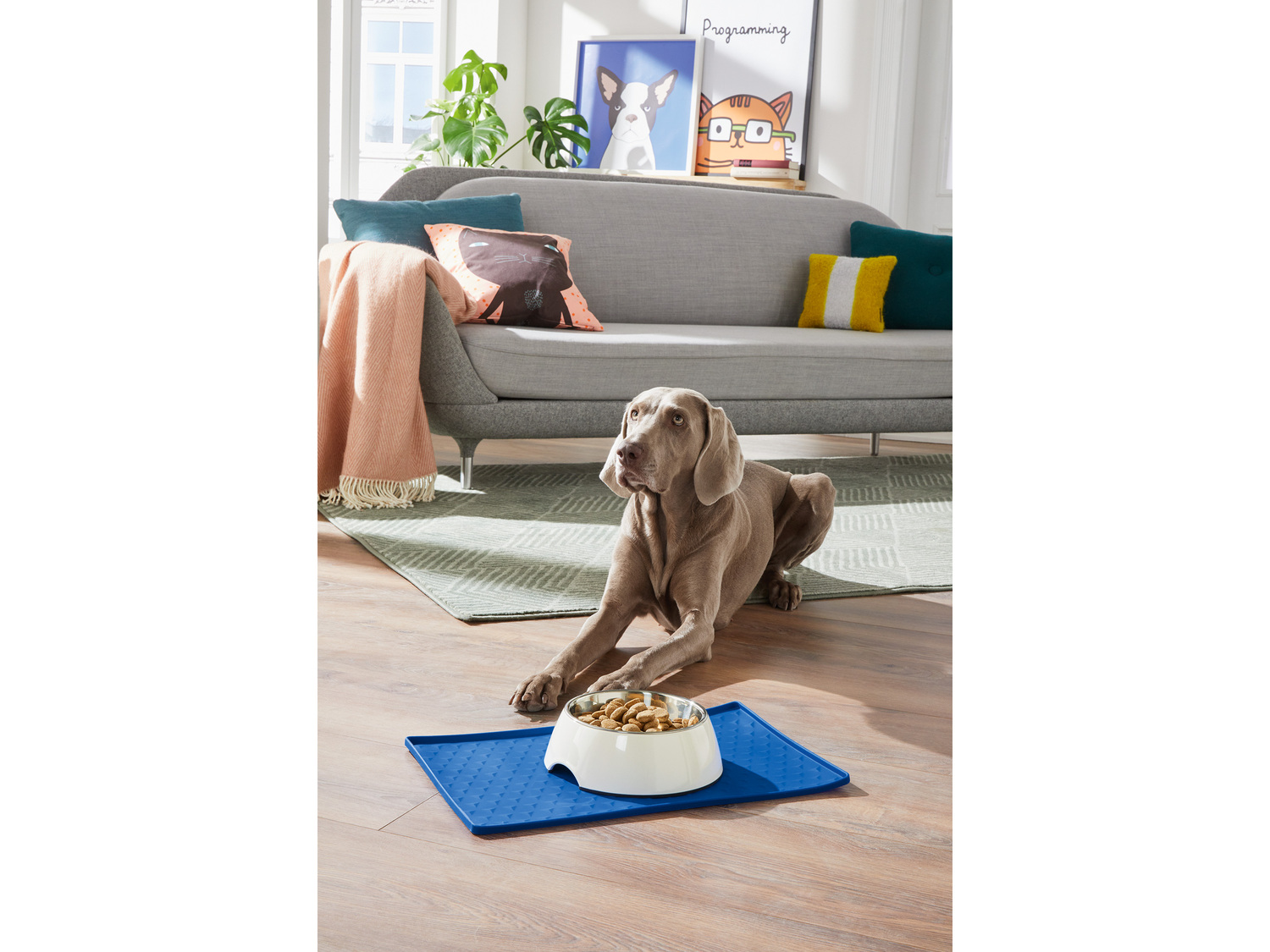 Podkładka pod miskę Zoofari, cena 24,99 PLN  
48 x 30 cm
Opis