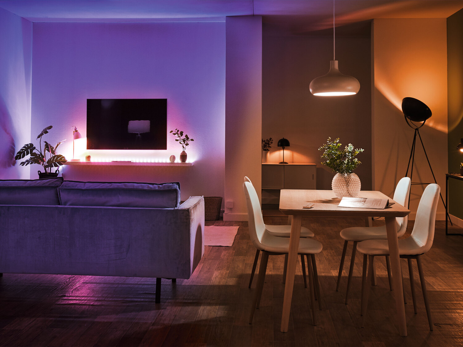 Żarówka LED Livarno, cena 49,99 PLN
- inteligentne sterowanie przez aplikację
- ...