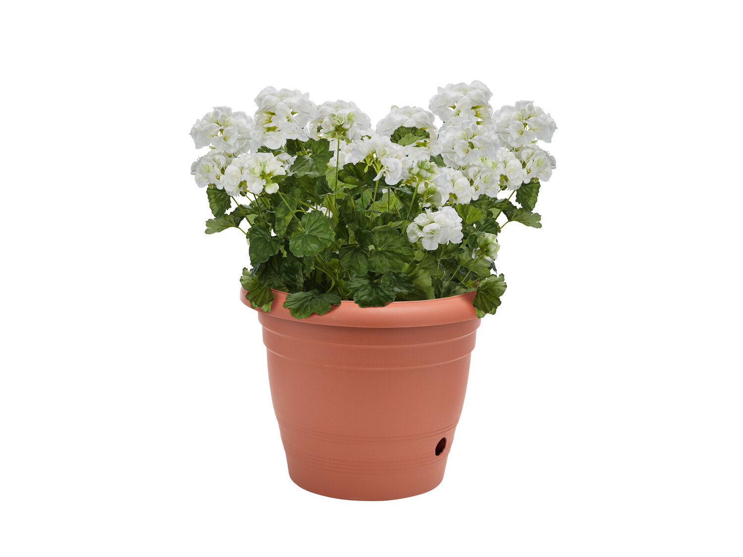 Doniczka z systemem nawadniania , cena 22,99 PLN
- 40 x 32 cm (Ø x wys.)
Opis
- ...