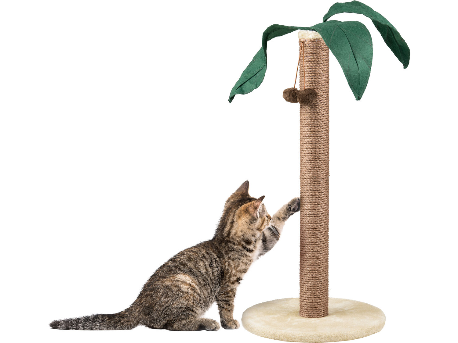 Drapak , cena 64,90 PLN
- 40 x 82 cm (ø x wys.)
- maks. 6 kg
Opis
- 3 lata