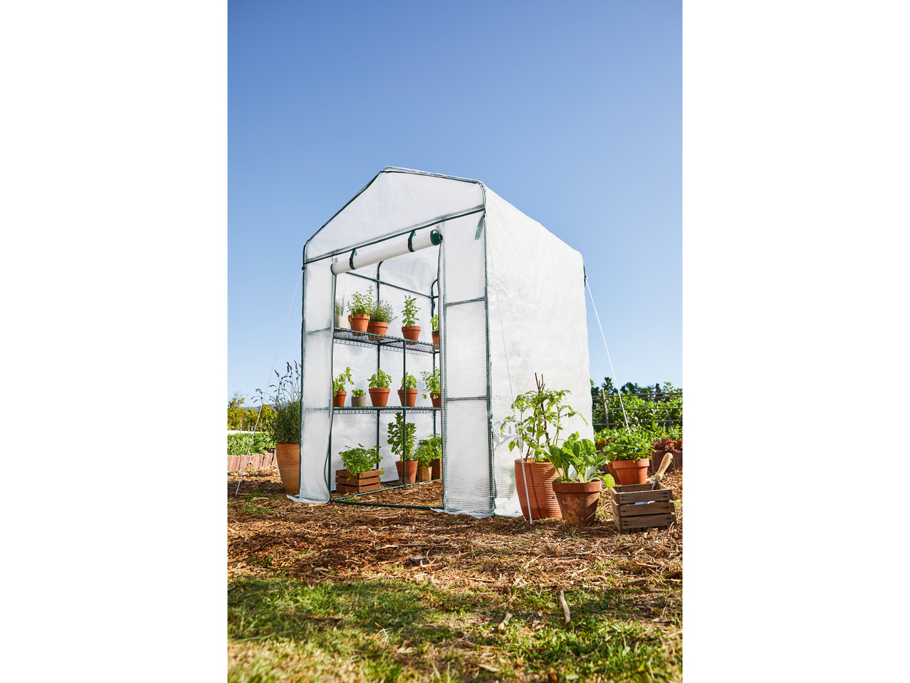 PARKSIDE® Szklarnia , cena 299 PLN
PARKSIDE® Szklarnia
- ok. 140 x 200 x 140 ...