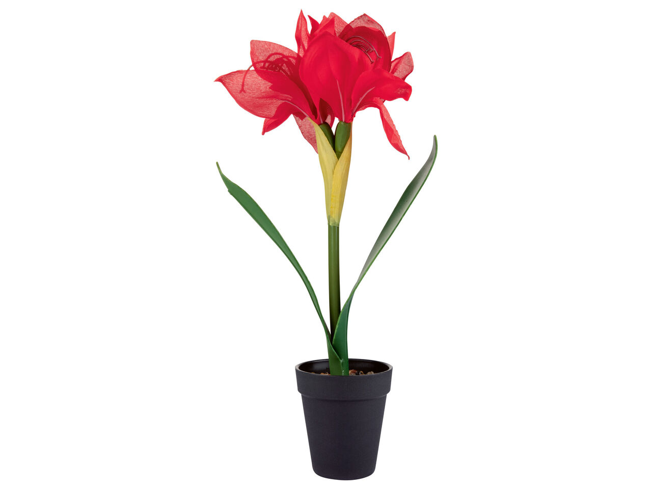 LIVARNO HOME® Sztuczna roślina doniczkowa , cena 4 PLN
LIVARNO HOME® Sztuczna ...
