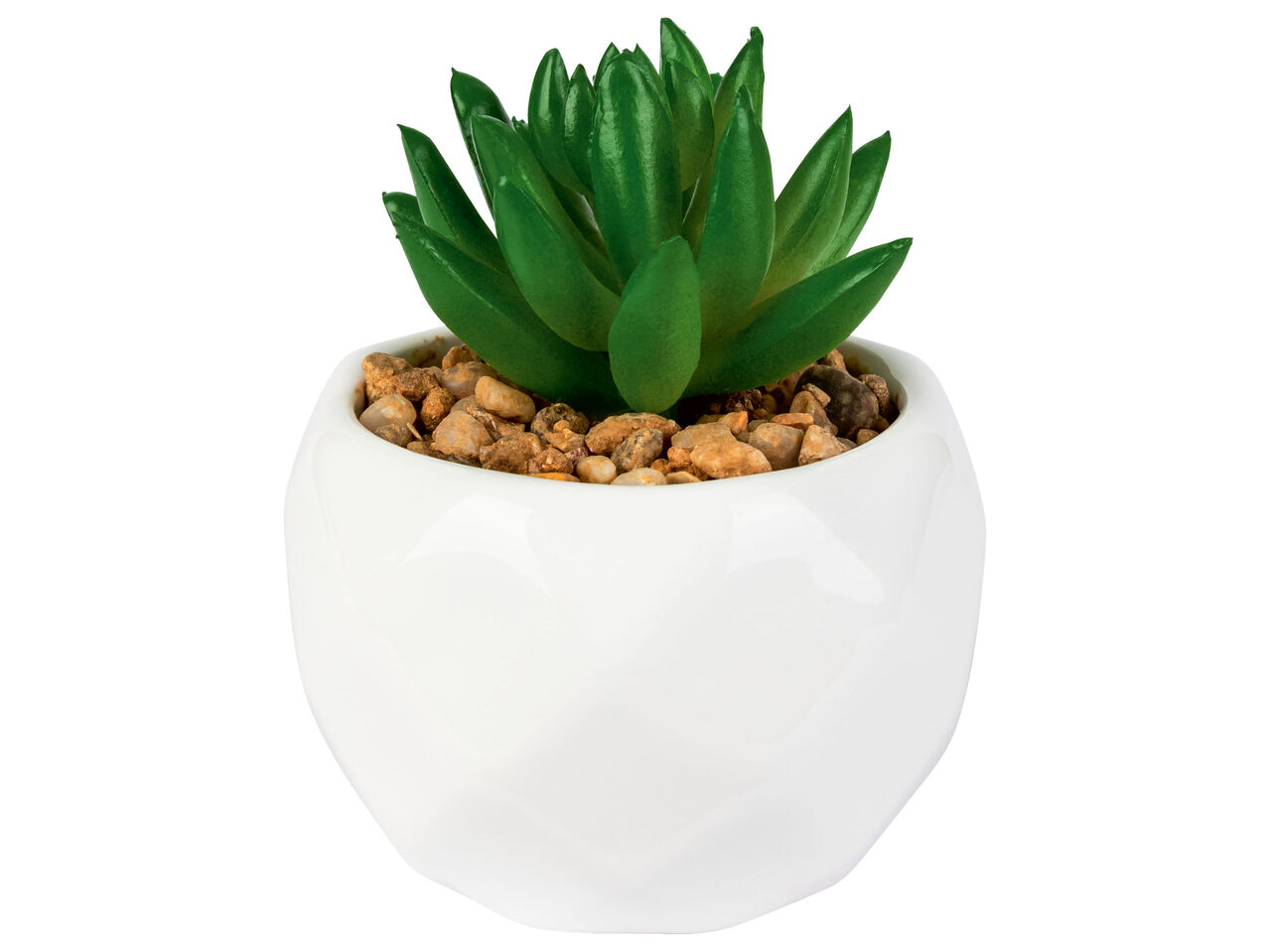 LIVARNO HOME® Sztuczna roślina doniczkowa mini , cena 6,99 PLN
LIVARNO HOME® ...