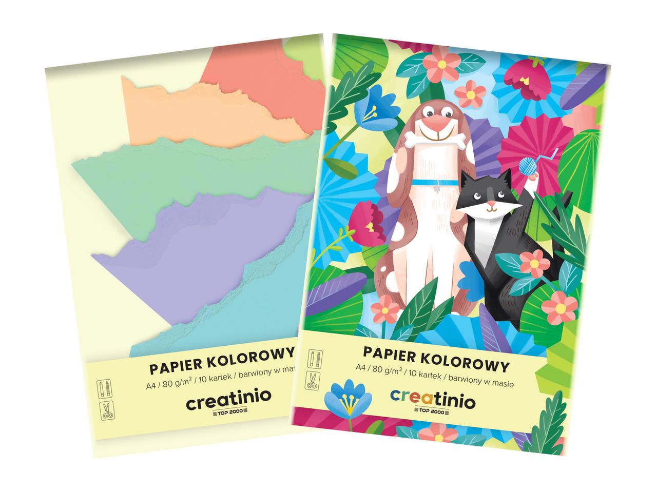 TOP 2000 Papier kolorowy A4, 10 kartek , cena 3,99 PLN
TOP 2000 Papier kolorowy ...