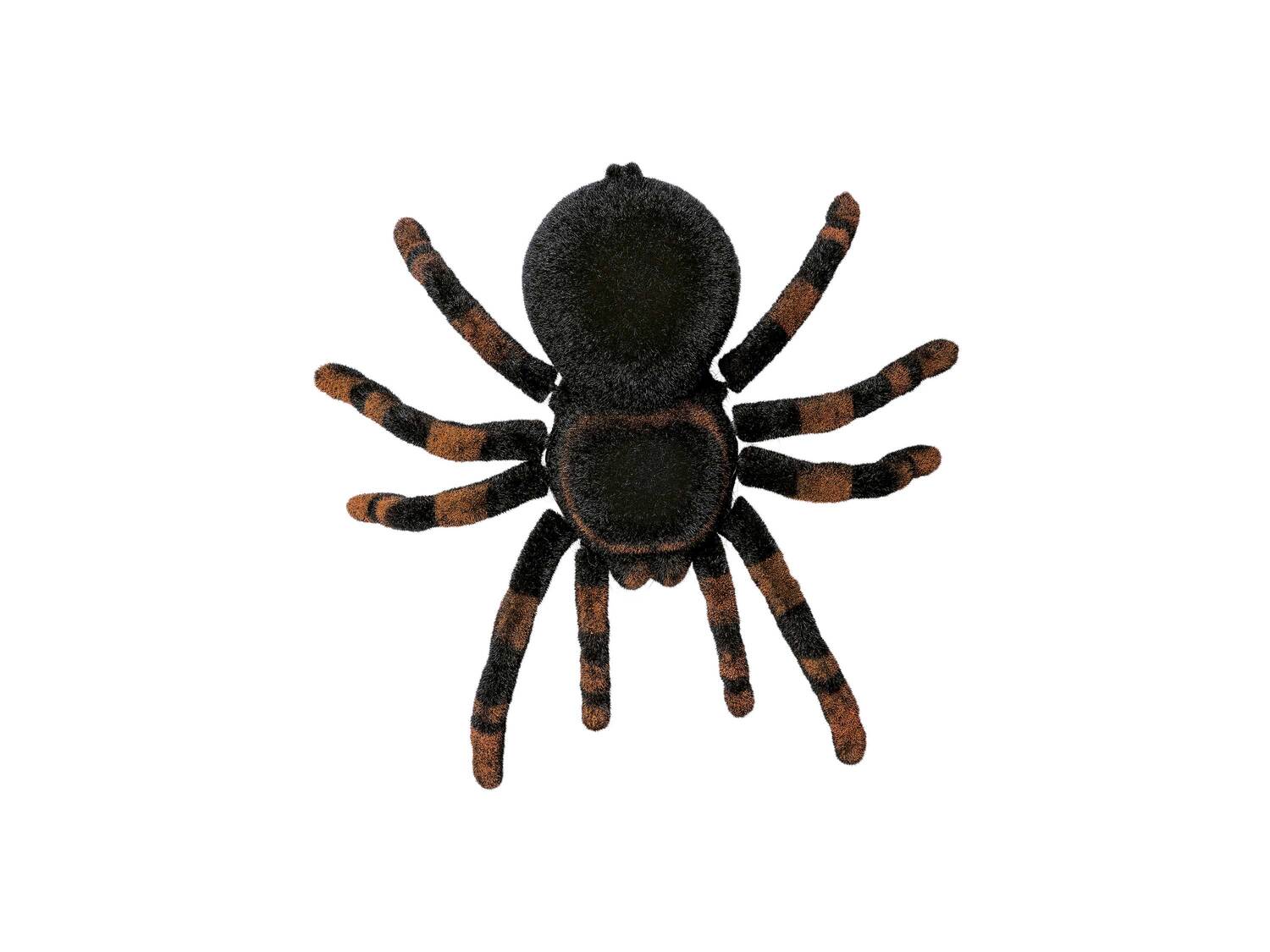 Zdalnie sterowana tarantula , cena 59,90 PLN
- zasięg radiowy: 5 m
- ruchome ...