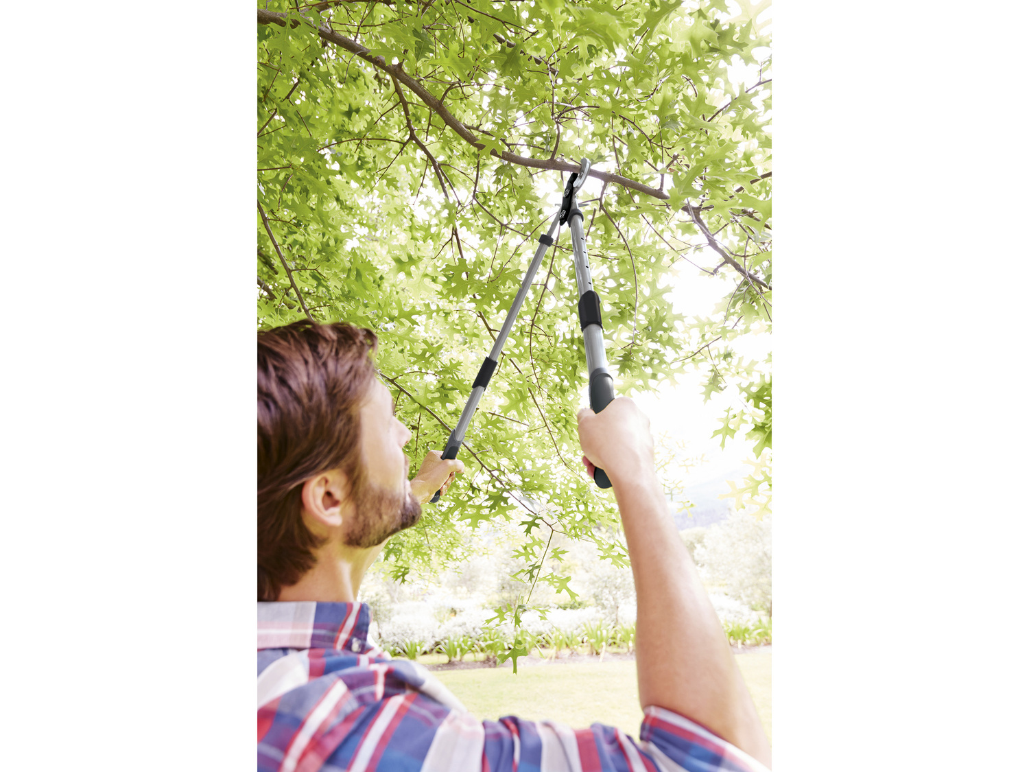 Teleskopowy sekator Parkside, cena 34,99 PLN
- regulacja ramion w 5 poziomach od ...