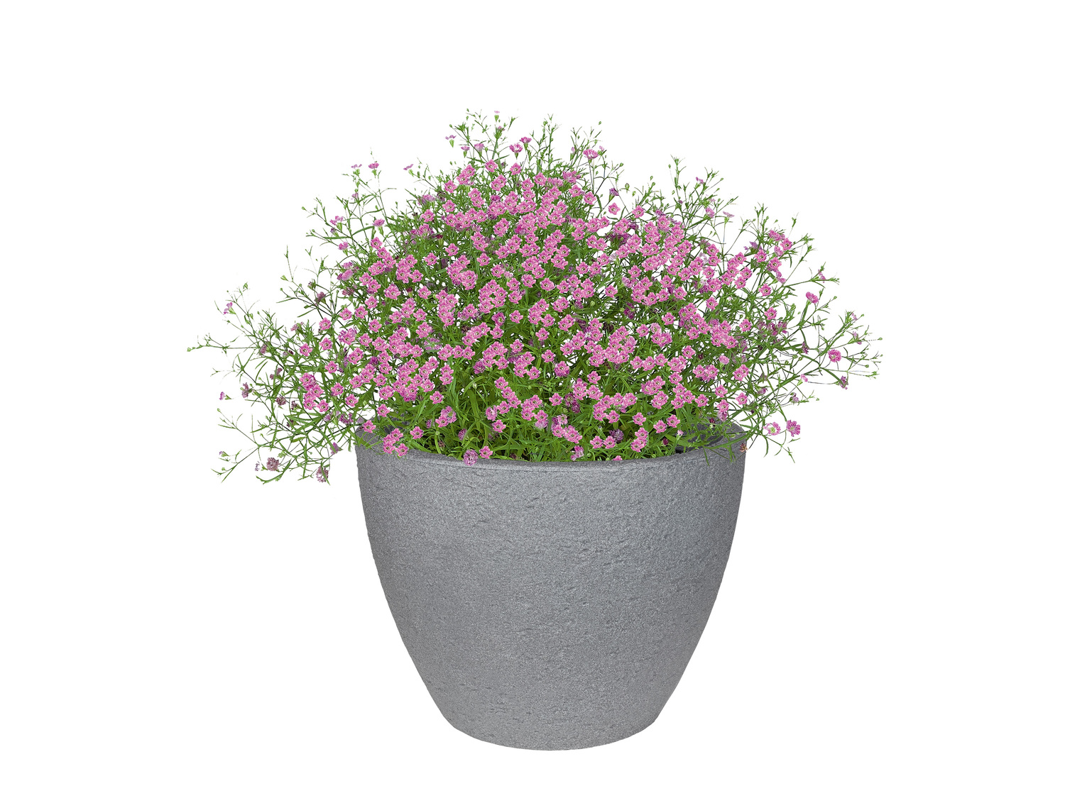 Donica okrągła Parkside, cena 59,90 PLN
2 wzory
- 48,5 x 37,8 cm (Ø ...